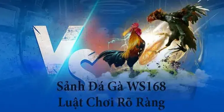 Hướng Dẫn Cách Chơi Đá Gà WS168 Tại VN86 Thắng Lớn Ngay Hôm Nay