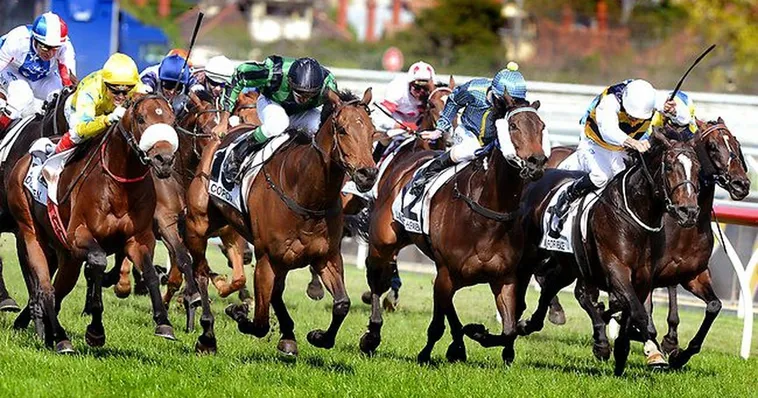 Tìm Hiểu Cá Cược Đua Ngựa VN86 Ngay Hôm Nay