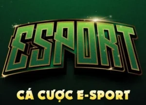 Cách Chơi Thể Thao Điện Tử Tại VN86 Hiệu Quả